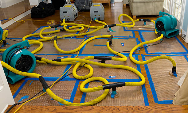 Professional Basement Flood Cleanup technician working in Miami, FL
